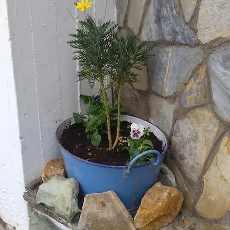 Athena's בית נופש