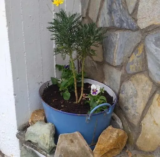 Athena's Prázdninový dům